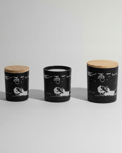 Prutas Soy Candle - Art Series